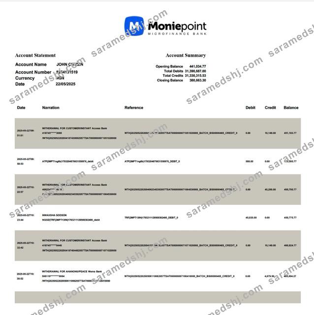 Nigeria Moniepoint Microfinance Bank account statement Word and PDF template